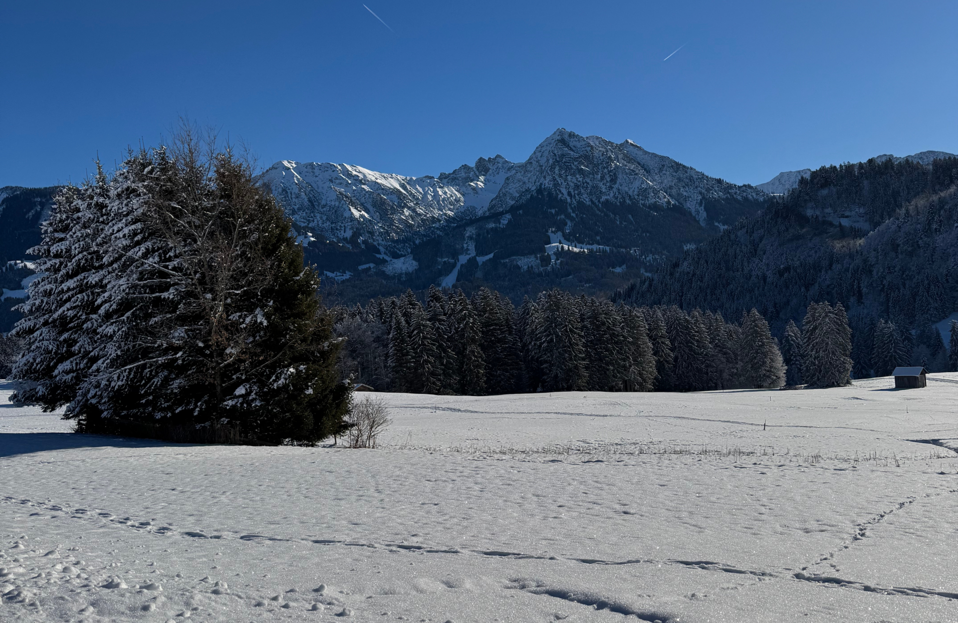 schneebedeckte Wiese mit Blick auf die Allgäuer Alpen