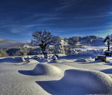 Winterlandschaft auf einem Feld im Allgäu