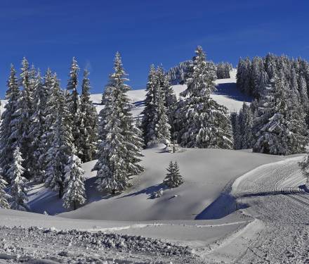Panoramablick Oberstaufen im Winter