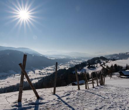 Winter Oberstaufen