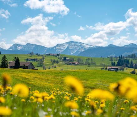 Frühling Oberstaufen