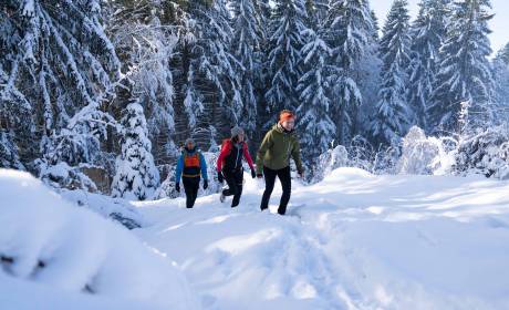 Gruppe von Menschen laufen durch den Schnee
