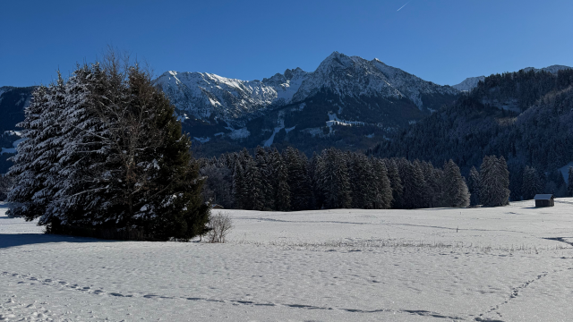 schneebedeckte Wiese mit Blick auf die Allgäuer Alpen