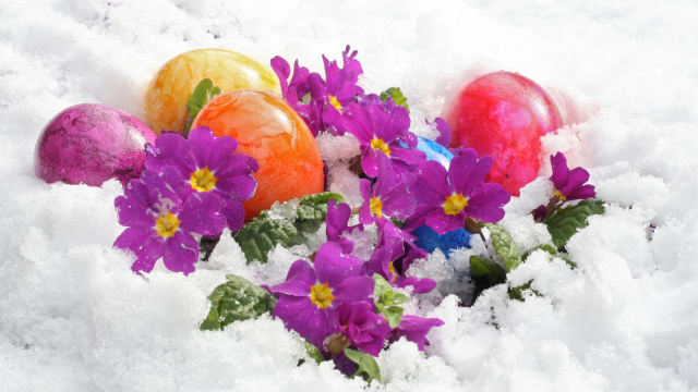 Osterzauber im Königshof