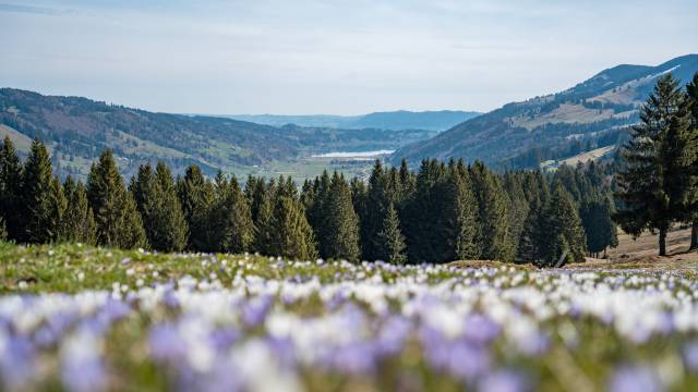 Das schönste Geschenk zum Muttertag: