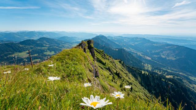 Allgäuer Bergsommerträume
