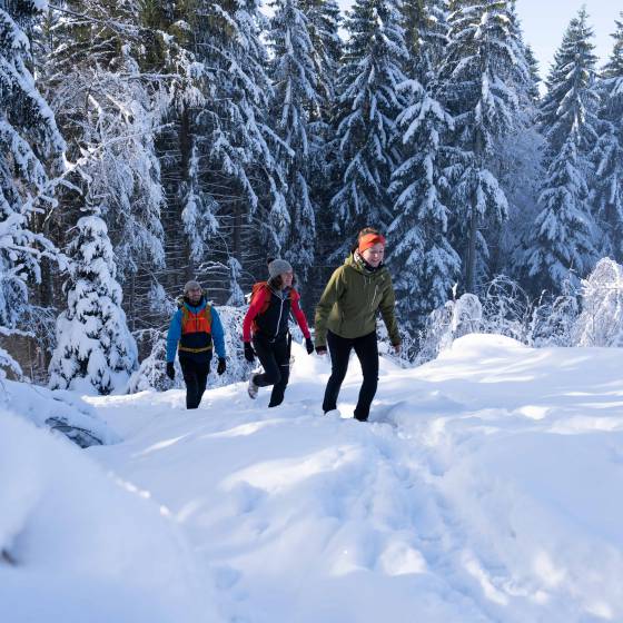 Ihr Incentive Hotel in Bayern: Gemeinsam mehr erleben - Königshof Hotel Resort