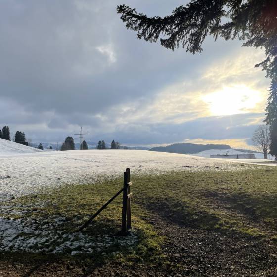Vivien Kaschel: Winterwanderweg Oberstaufen - Königshof Hotel Resort