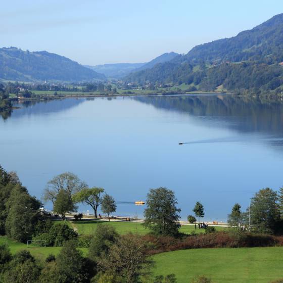 Idylle und Abenteuer vereint: Der Alpsee - Königshof Hotel Resort