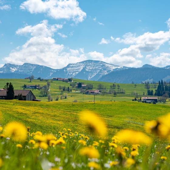 Warm days in the Allgäu: Summer highlights - Königshof Hotel Resort