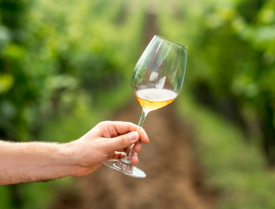 Highlights – winemaker weekend